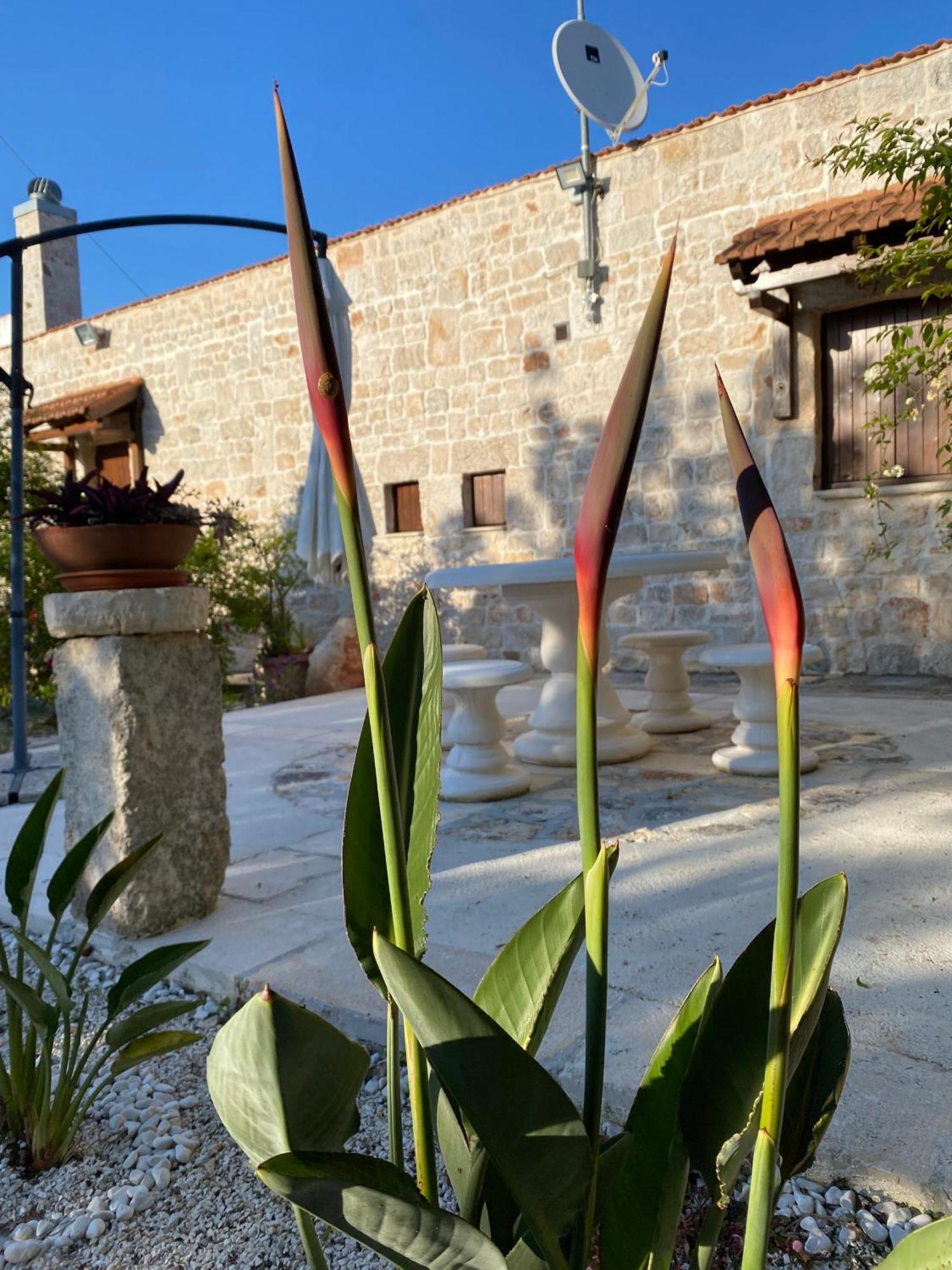 Trulli And Nature Antonelli Room photo